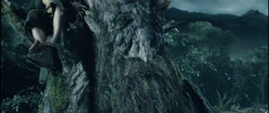 Treebeard Decides For War